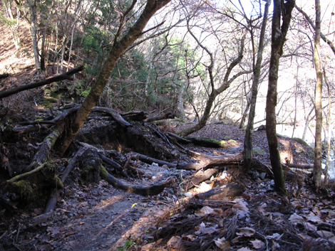 20161206hike (12)